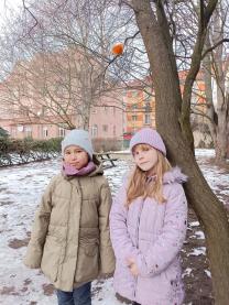 Náhodná fotogalerie