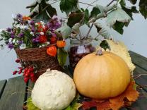 Náhodná fotogalerie